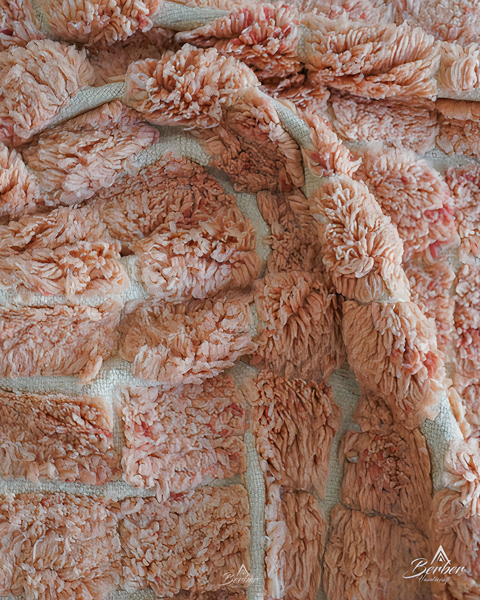 Peach Moroccan Rug 3 X 5 Ft | 90 X 150 Cm / With Tassels / Short (0.4” / 1 cm)